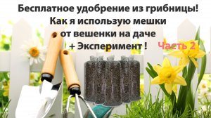 Мешки из под грибов вешки - грибницы для удобрения почвы. Часть 2 |Садовод со стажем