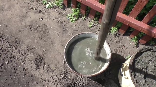 Подкормка клубники из семян