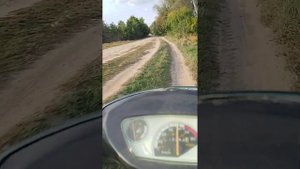 покатушки на скутере вайпер винд 50сс