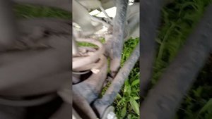 замена задних пружин Ваз 201-07