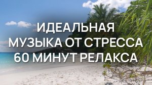 Идеальная музыка от стресса: 60 минут глубокого релакса без слов, слушай сейчас | Эмбиент асмр