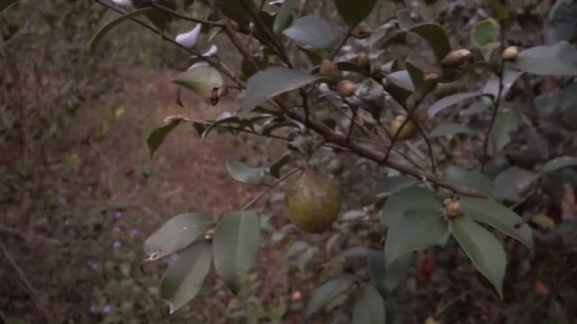 Мотопутешествие Андрея Бересневича по Китаю. Часть 31