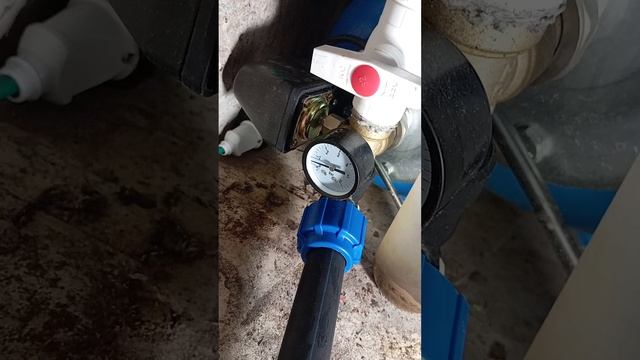 1000105372.mp4