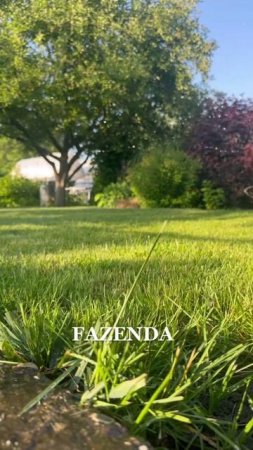 FAZENDA ➡️ https://t.me/fazenda_tatiana