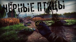 ЧЁРНЫЕ ПТИЦЫ - S.T.A.L.K.E.R. Anomaly EDIT