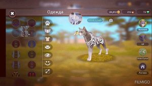 обмен аккаунта Wild Craft | не первая | ч.о