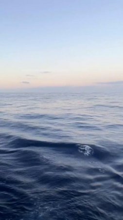 Прогулка по морю