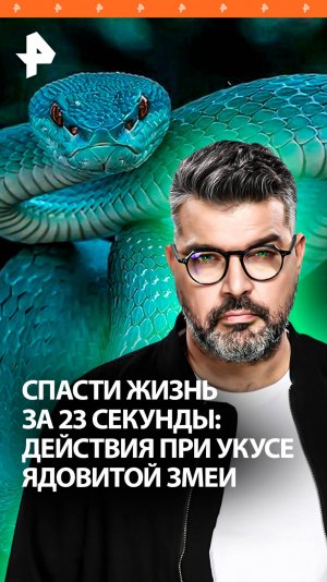 Отсасывать нельзя. Укусила ядовитая змея: что дальше / "Знаете ли вы, что?"