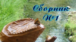 Сборник №1 Лето