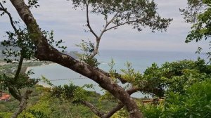 Вид на бухту Сяодунхай. Санья. 13.05.2025