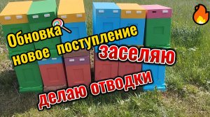 Тяжело быть пчеловодом !!!!