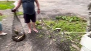 08.06.25 г. Парк отдыха водопад