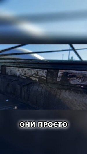 Терраса из ДПК. Почему нельзя использовать деревянные лаги_