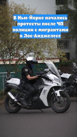 В Нью-Йорке начались протесты после ЧП полиции с мигрантами в Лос-Анджелесе