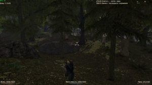 Некромант Заклинатель - Обзор Магии и Скиллов | Готика