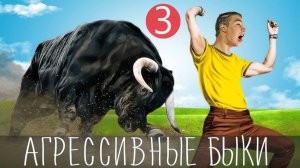 Марковские Курганы. Черный Ангус - Злые Быки! Путешествие на автомобиле "Средний Дон" #путешествия