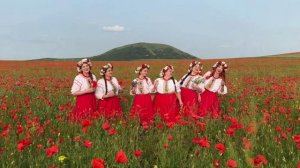 Кольчики на пальчики