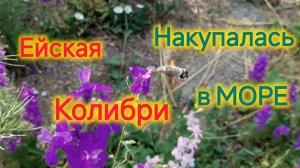 Завтрак на ЮГЕ/Наконец-то искупалась/Отдых в Ейске/Центральный пляж/Прощай диета, накупила пирогов😁
