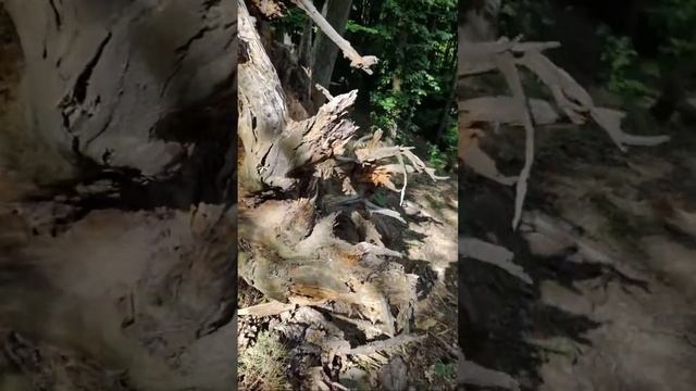 Лучшие моменты трансляции "Lets watch TV" (0:00–2:39) смотреть онлайн