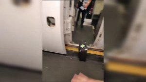 Шахромак Америка пеши ЭРОНИ рафт!!! ПРИКОЛОИ ШАХРОМАК!