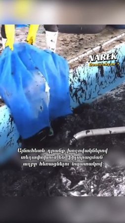 Ի՞նչ է իրականում Չուկան. մի բան, որ բոլորս ուտում ենք առանց հասկանալու
