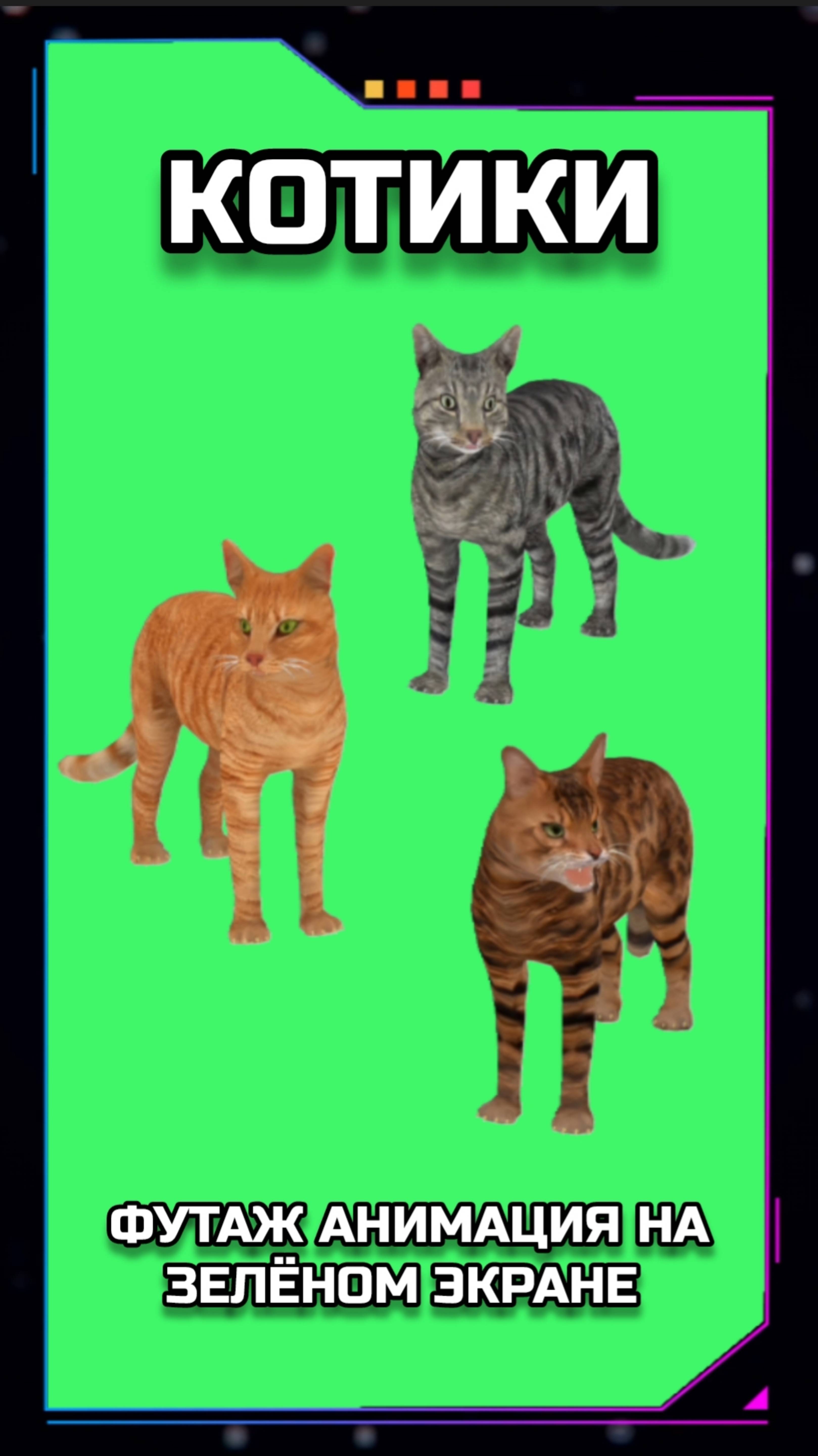 КОТИКИ хромакей футаж на зелёном экране. Видео анимация GREEN SCREEN.