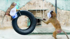 Люся в парандже! Степан Сулейман в кепках! Жмурки с чехардой - кто быстрее, тот с подарком!