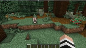 ГДЕ НАЙТИ ВСЕХ ВОЛКОВ В МАЙНКРАФТ