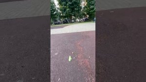 После недели утреннего бега, уже ничего не болит и формируется привычка.