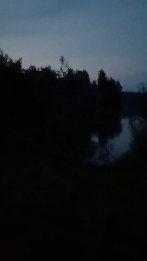 Ночные птицы.