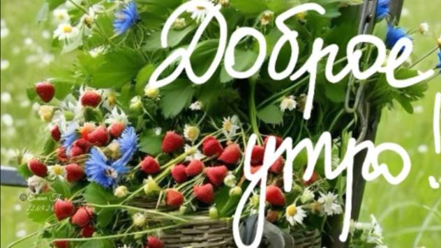 Доброе утро, воскресенье! 🌞 Начни день с улыбки и хорошего настроения!  #доброеутровоскресенье