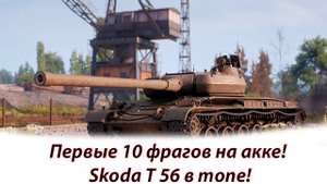Первые 10 фрагов и медаль Пула на Skoda T 56!