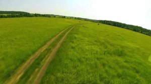 FPV полет в поле. Apex 5(walksnail)