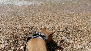 Знакомство с морем