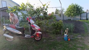 ЖИЗНЬ В ДЕРЕВНЕ/РОЙ ПЧЁЛ,СОСЕДИ В ШОКЕ/ПРОБЛЕМЫ САМИ НАС НАХОДЯТ/