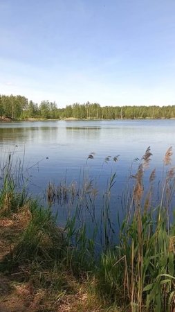 Ямкинское озеро.