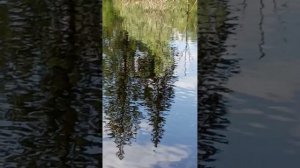 1000021851.mp4