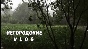 Теплично-огородные новости. 30.05.25
