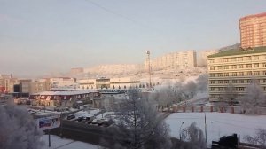 Сибирские деревья покрылись инеем.