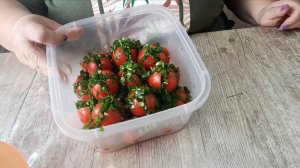 ОБАЛДЕННЫЕ ЗАКУСОЧНЫЕ ПОМИДОРЫ НА ПРАЗДНИЧНЫЙ СТОЛ.