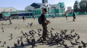 Человек и Голуби/ Вокзал Новосибирск -Главный/ начало июня2025❤☺️