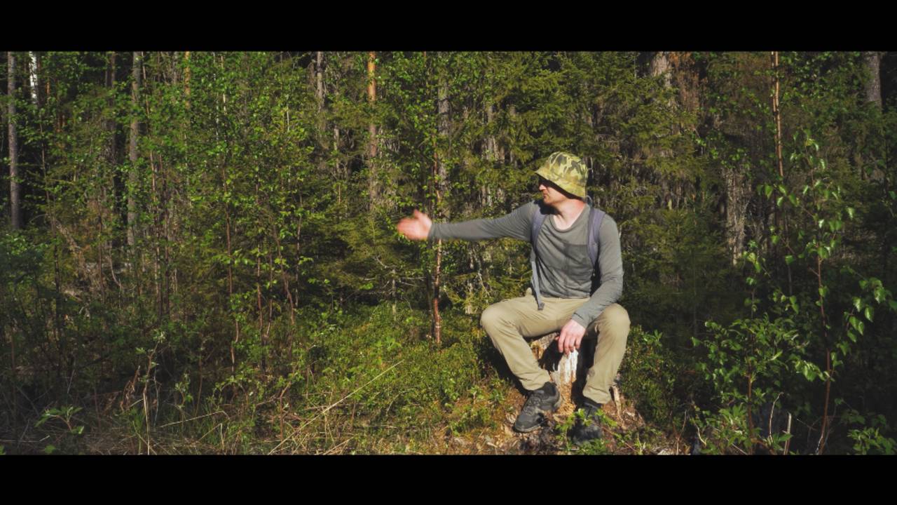 Сходил в тайгу. Собрал листья брусники. Весна в самом разгаре. смотреть онлайн