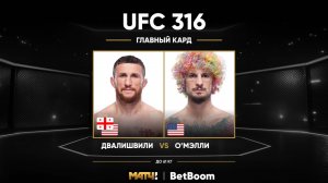 Мераб Двалишвили победил Шона О’Мэлли (видео). UFC 316