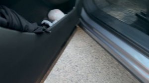 Плафоны в дверях HAVAL F7 2024