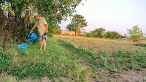 08-06-2025Сегодня отдыхаем, сачкуем. Наши покупки. Жизнь станичная.