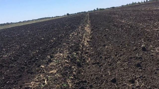 Месяц до посевной 2020 смотреть онлайн