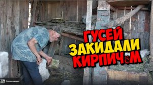 ВОЙНА НА ТЕРРИТОРИИ ДЕДА МАТВЕЯ . НОЧНЫЕ ВЫЛАЗКИ .