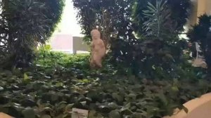 Фитобар в подмосковном санатории Марфино
