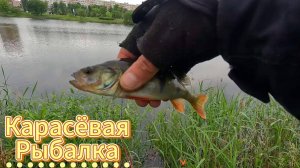 КАРАСЁВАЯ РЫБАЛКА В ГОРОДЕ НА НЕВЕ В ПЛЕЙЛИСТАХ ЕСТЬ ВИДЕО ПРО РЫБАЛКИ ЗИМОЙ И ЛЕТОМ В ЭТОМ МЕСТЕ