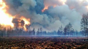 Огонь от природных пожаров подобрался к поселку Карповка в Забайкальском крае